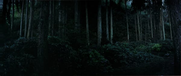 Chrystel Lebas, Abyss 11, 2003