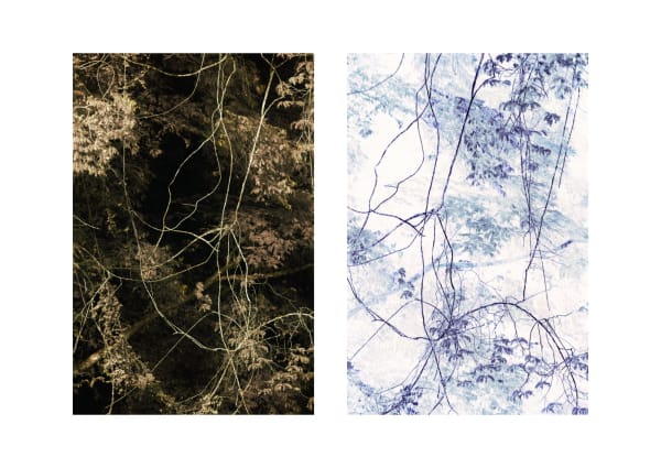 Presence Léonard Pongo, Diptych Double, 2019 Series: Primordial Earth