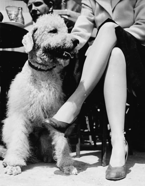 Bert Hardy, Sunday Morning at the Champs-Élysées, 1951