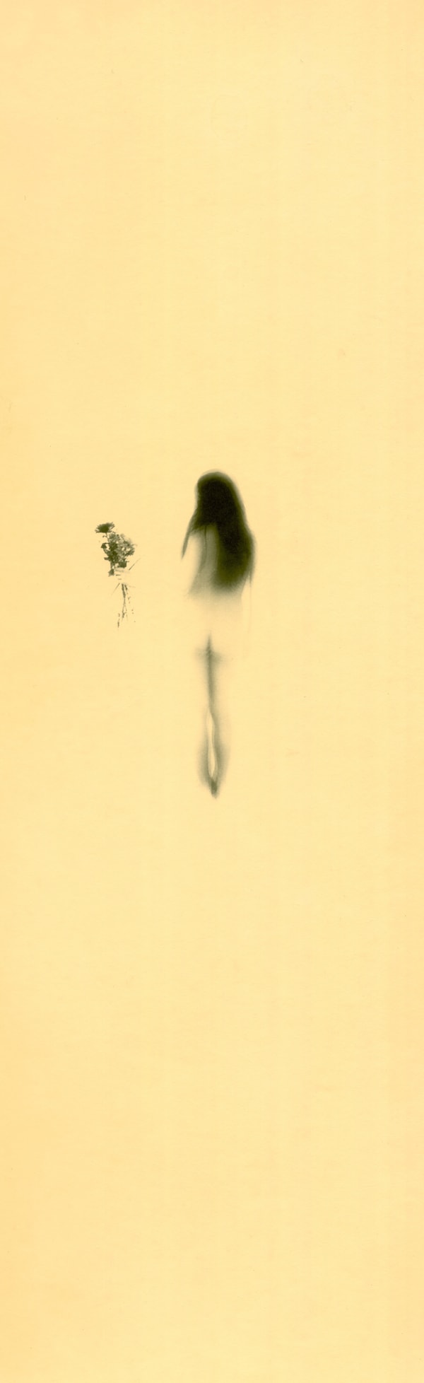 Miho Kajioka, BK0486, 2019