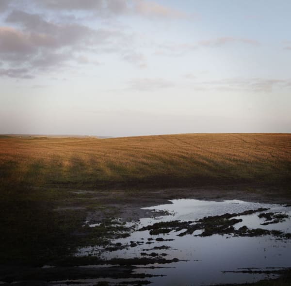 Sophie Gerrard, Menie Field, 2012