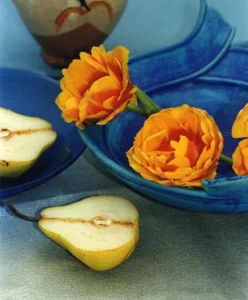 Dorothy Bohm, Still life, Hampstead, London, 1997