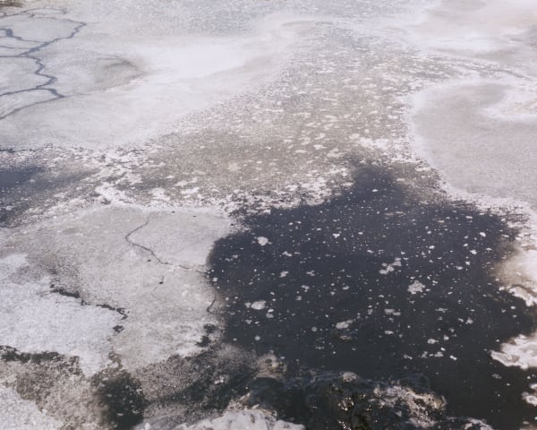 Clarisse d'Arcimoles, The Way of the Salamander #10