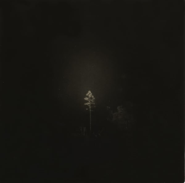 Miho Kajioka, BK0602, 2020