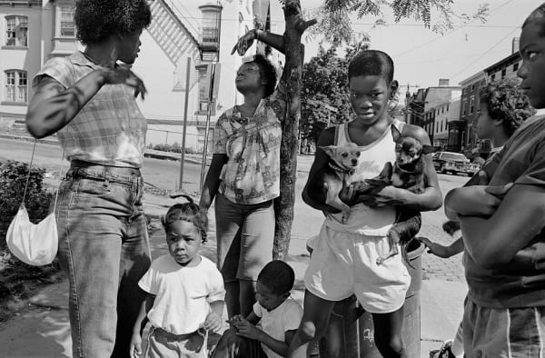 Sage Sohier, Family with Chihuahuas, Newburgh, New York, 1983