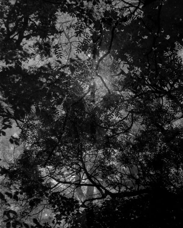 Nicholas Hughes, Verse III, #9, 2020
