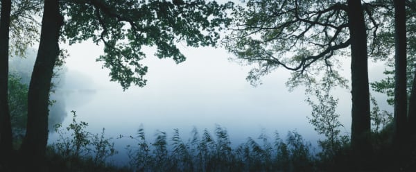 Chrystel Lebas, 21 Octobre 2008, Matin, 2008