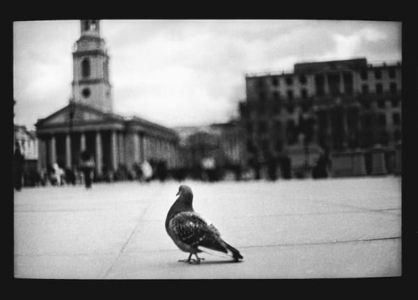 Giacomo Brunelli, Untitled 27, 2012-2014