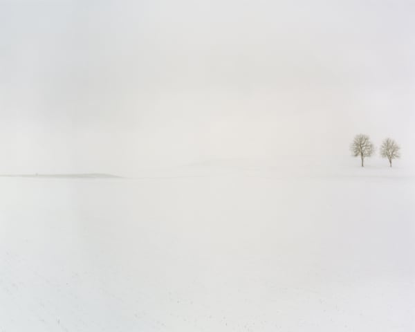 Nicholas Hughes, Untitled 1, 2004
