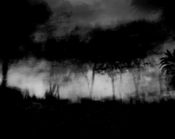 Nicholas Hughes, Verse I, #6, 2016