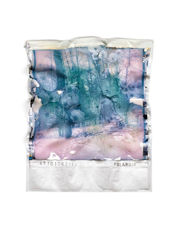 Gohar Dashti, Disappearing Nature #12, 2022