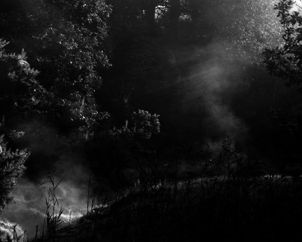 Nicholas Hughes, Verse I, #2, 2016