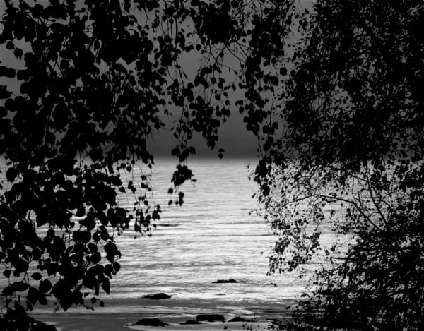 Nicholas Hughes, Verse III, #10, 2021
