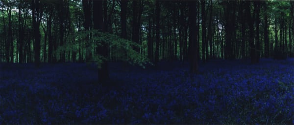 Chrystel Lebas, Blue Hour 2, 2005