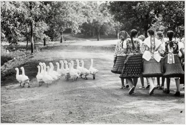 Elliott Erwitt, Hungary, 1964