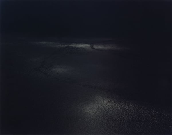 Nicholas Hughes, Untitled 7, 2007