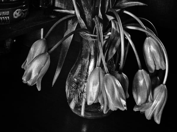 Daido Moriyama, Record No.41