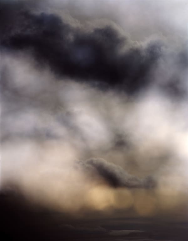 Nicholas Hughes, Untitled 2, 2011