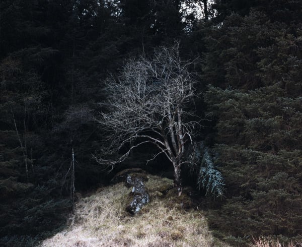 Chrystel Lebas, Re-visiting Loch Long from Glen Loin. No Plate, Arrochar, May 201256°14.298’ N 4°43.905’ W, 2012