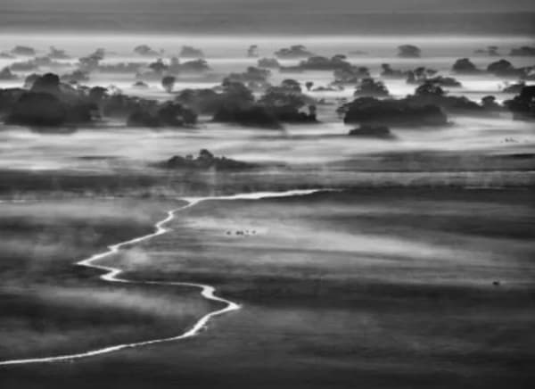 Sebastião Salgado, Kafue National Park, Zambia, 2010