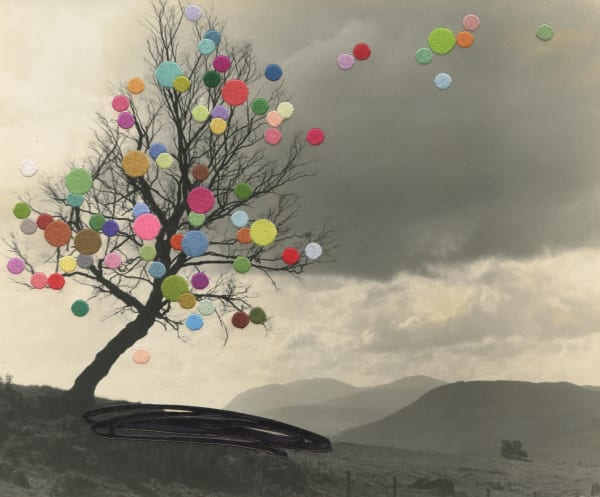 Julie Cockburn, Zephyr, 2022