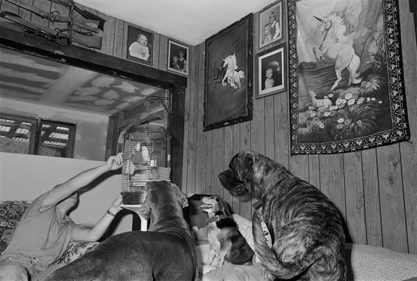 Sage Sohier, Samuel with Blue, Pessa, Mallory, and Digger, Meredith, New Hampshire, 1992