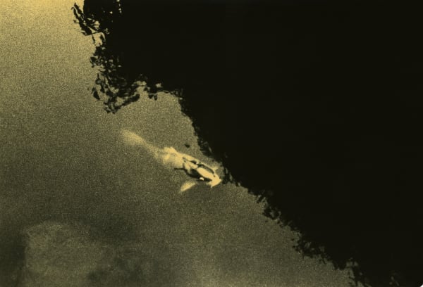 Miho Kajioka, BK0281, 2015