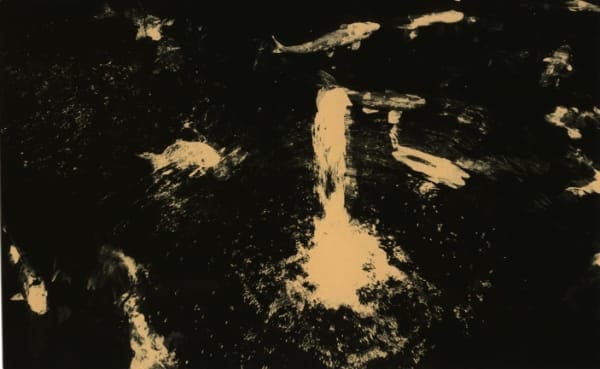 Miho Kajioka, BK0361, 2018
