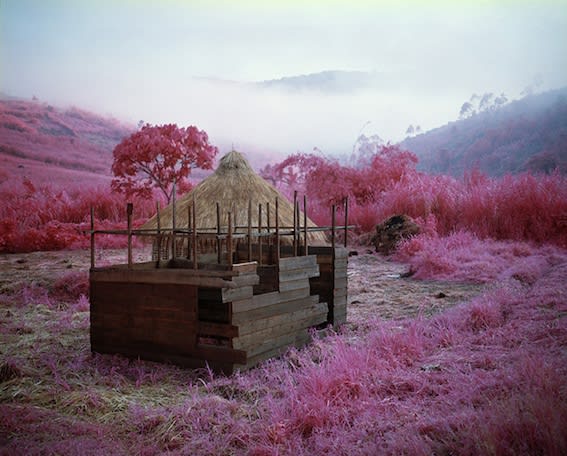 Exclusive Editions, Richard Mosse, Come Out (1966) XI