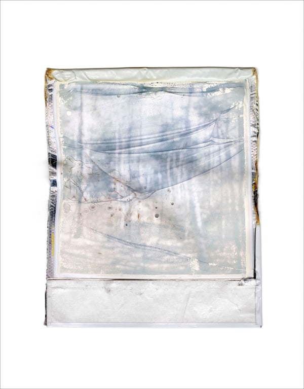 Gohar Dashti, Disappearing Nature #9, 2022