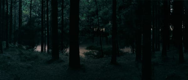 Chrystel Lebas, Abyss 7, 2003