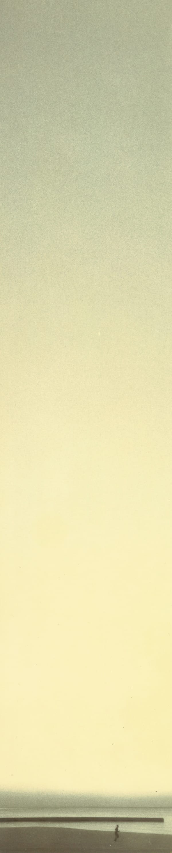 Miho Kajioka, BK0505, 2019