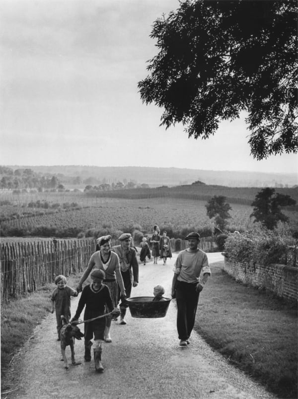 Bert Hardy, Hopping Holiday, Kent, 1951