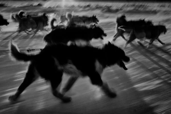 Ragnar Axelsson, Scoresbysund, Greenland, 2010