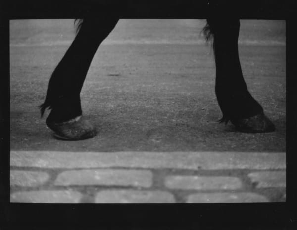 Giacomo Brunelli, Untitled (Horse's Legs), 2017