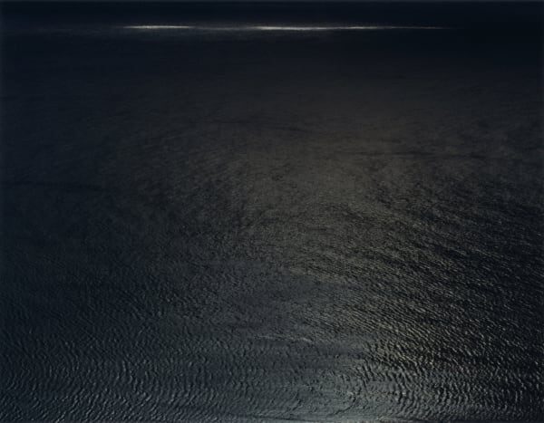 Nicholas Hughes, Untitled 1, 2007