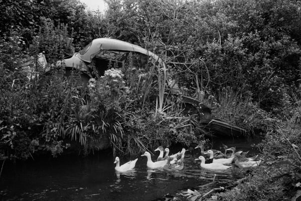 Martin Parr, County Kerry, Dingle Penninsula, Abandoned Morris Minors, 1980-1983