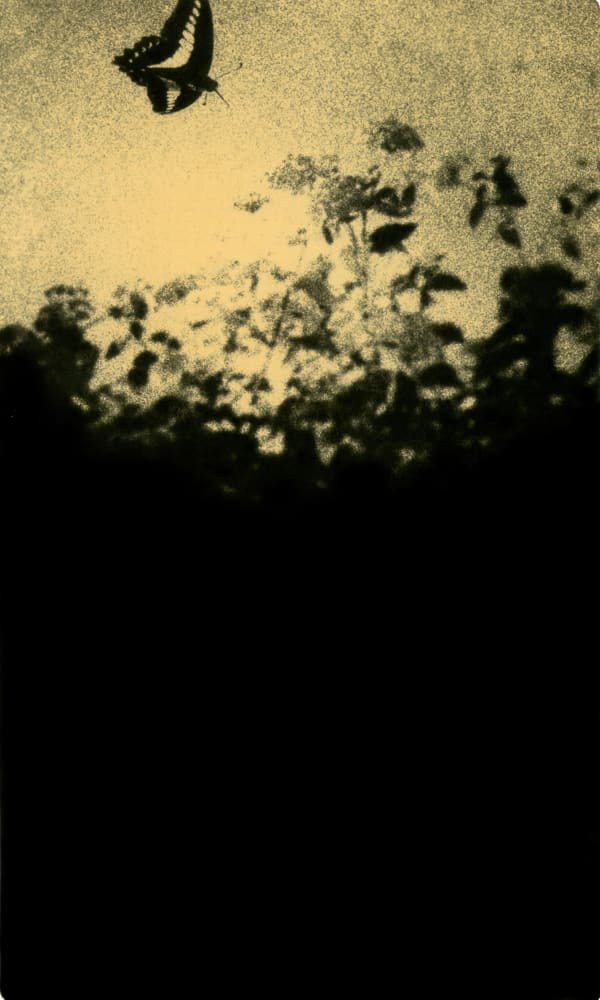 Miho Kajioka BK0487, 2011 Series: Monochrome