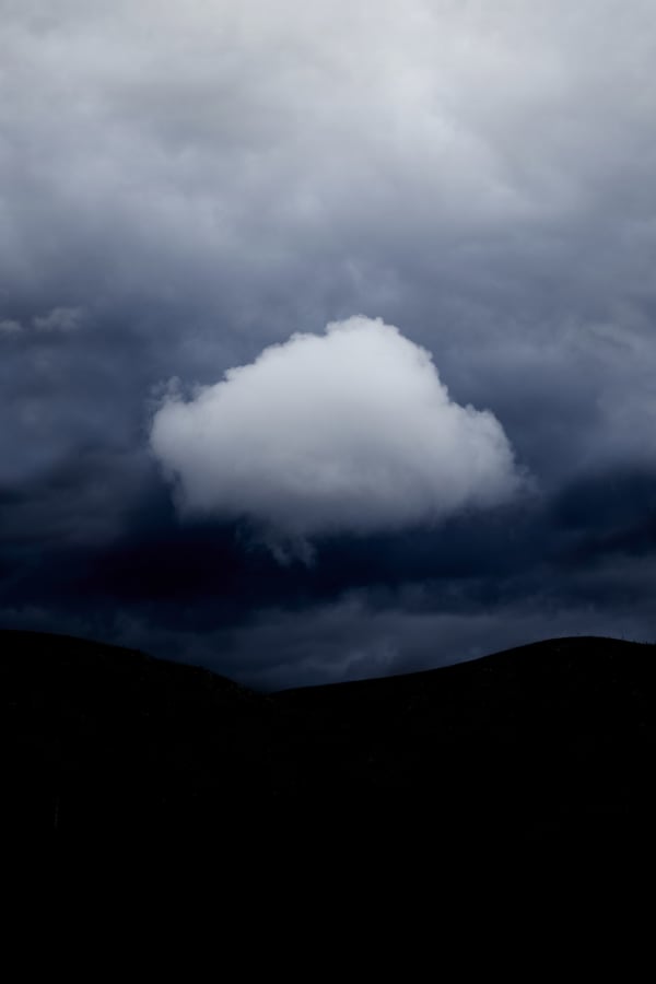 Presence Anke Loots, Untitled, Garden Route, 2020