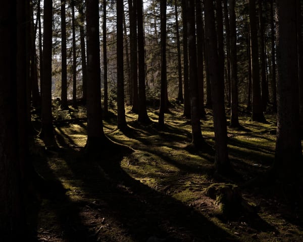 Kurt Tong, Igls, 2023