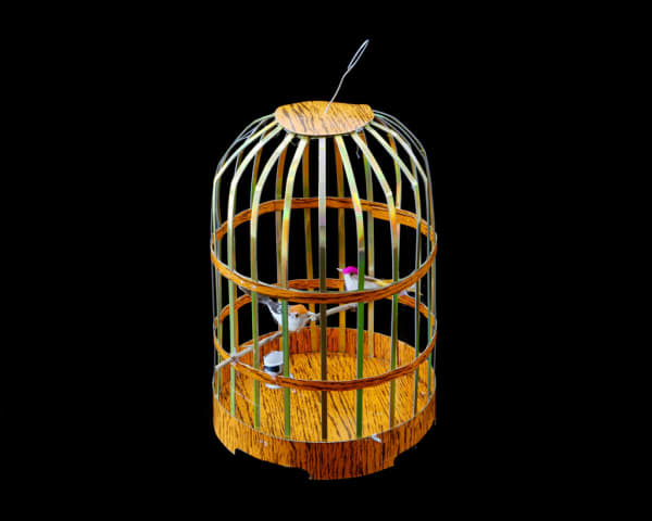 Kurt Tong, Birdcage, 2009