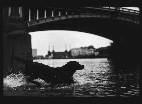 Giacomo Brunelli, Untitled 02, 2012-2014