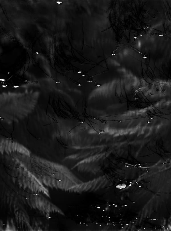 Nicholas Hughes, Verse II, #13, 2020