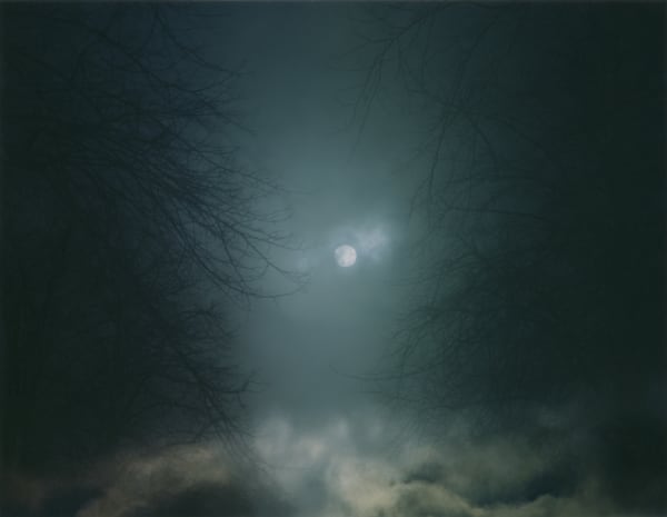 Nicholas Hughes, Untitled 11, 2007