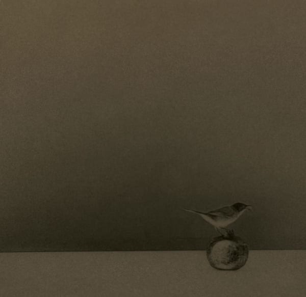 Miho Kajioka, BK0604, 2020