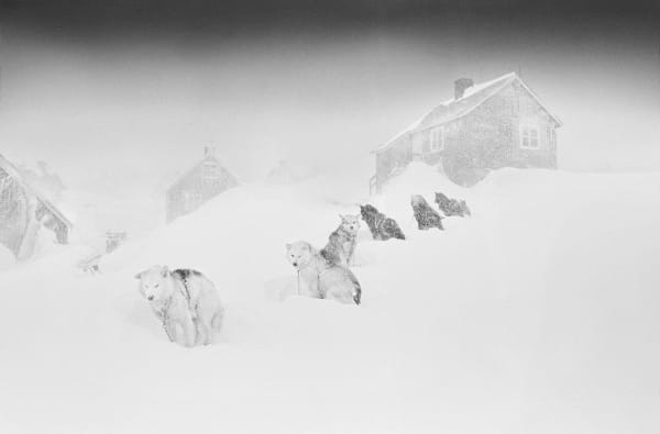 Ragnar Axelsson, Scoresbysund, Greenland, 1995