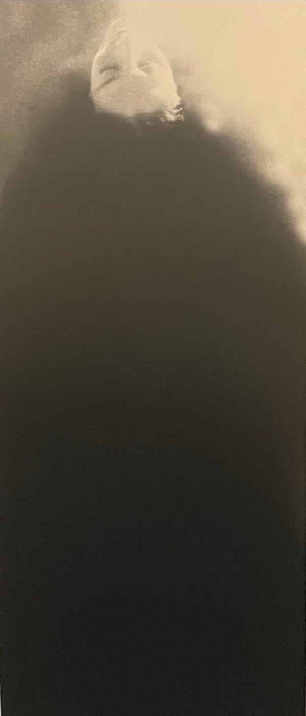 Miho Kajioka #0019, 2021 Series: Monochrome