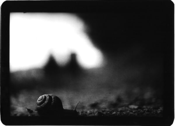 Giacomo Brunelli, Snail, 2005-2008