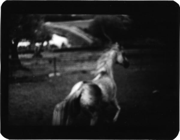 Giacomo Brunelli, Horse White, 2005-2009