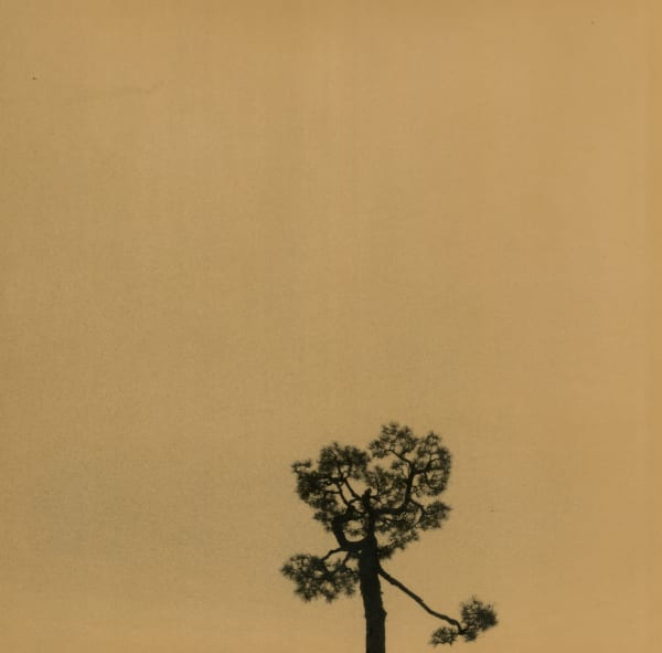 Miho Kajioka, BK0462, 2019
